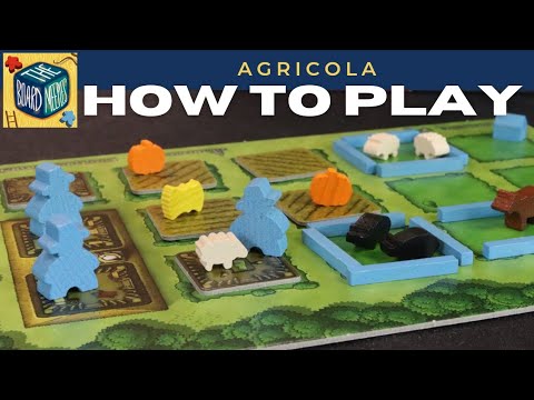 How to Play Agricola in under 10 minutes