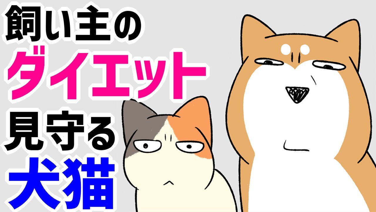 【犬猫まんが】飼い主のダイエットを生暖かく見守る柴犬と猫