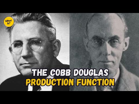 What Is Cobb-Douglas Production Function?
