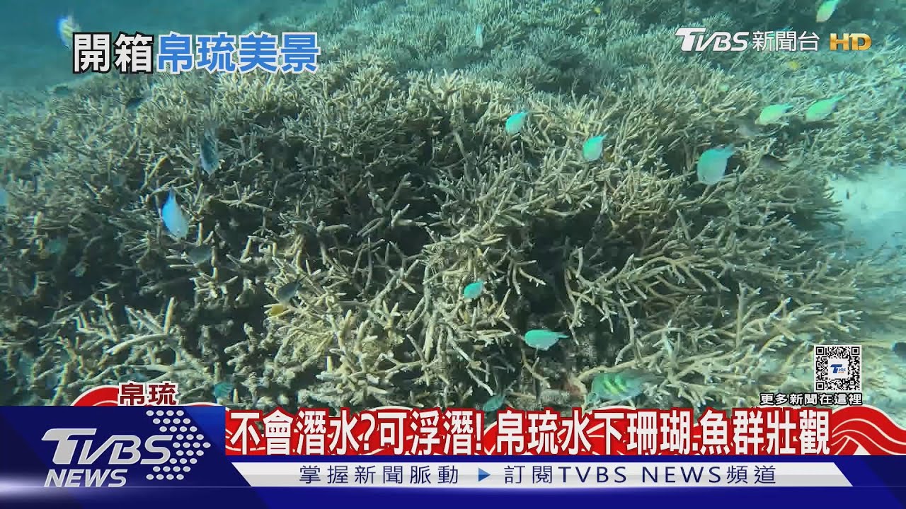 泡海裡談外交!帛琉總統開箱旅遊怎麼玩