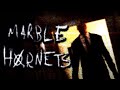 Marble Hornets The Entire Series Explained