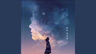 더 브릿지 - 밤하늘 속 너