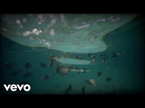 Daleka Obala - U Modroj Zori