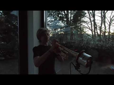 A Poem - Xaver E. Schutti