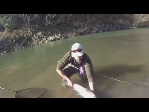 Sixes River Steelhead Fly Fishing