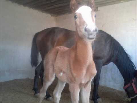 El Cadete Laberinto Last Fm el cadete laberinto last fm