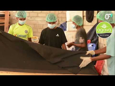 Vanille - Herkunft und Herstellung