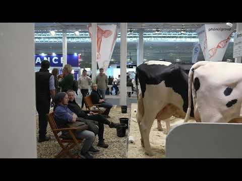 EuroTier 2022 - Rind / Cattle