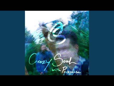 Crazy Soul (feat. ProbCause)