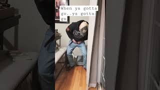 #pranks #poop prank # cats # litterbox # shorts