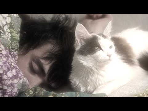 how??? you literally didn't study.