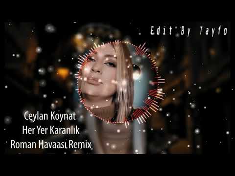 Ceylan Koynat - Her Yer Karanlık ( Roman Havası Remix ) 2021