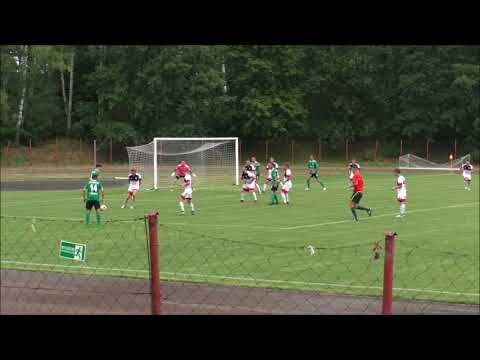 LZS Agroplon Głuszyna - TS Gwarek Tarnowskie Góry 0:2 (0:1)