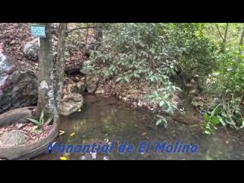 Interpretación ambiental - Manantial de El Molino, La Guajira.