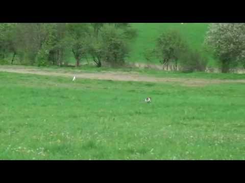 Gordon Isis Wind/RED vs Hidalgo Isis Wind/W 2.round