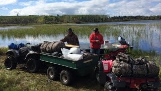 Camping. Wild Rice Harvest. GREY WOLF SPOTTED!