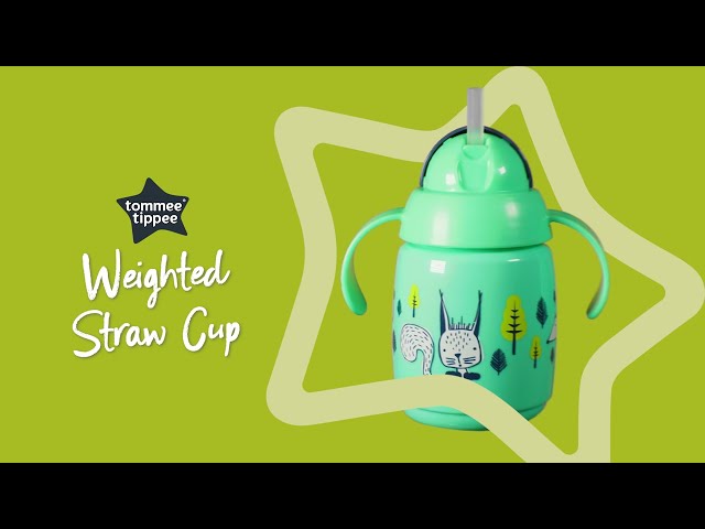 Tommee Tippee Superstar Insulated Straw Cup Assortment 1PK