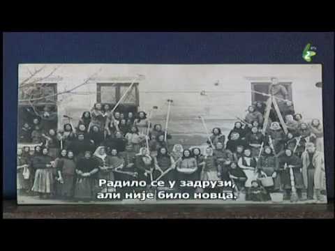 OSIPANI MURI SALAŠOH - avtor Zlatka PEROVIĆ