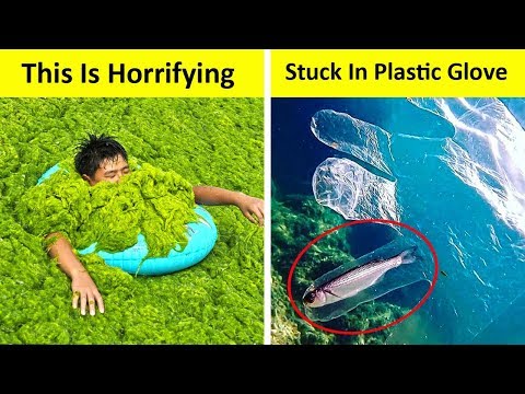 We Are Slowly Killing Our Planet, How Long Will It Survive? Video