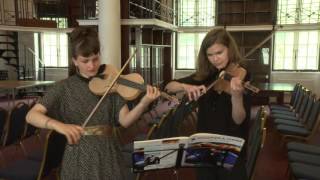 Vibrating qualities of spiders&#39; silk exploited in prototype violin