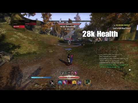 Fighting The Best Stam Sorc NA...........?