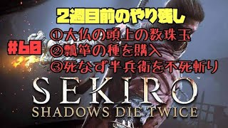 【隻狼/セキロ】　＃60　２週目前のやり残し（①大仏頭上の数珠玉（獅子猿のねぐらからのルート紹介）②瓢箪の種購入③半兵衛を不死斬り）　[SEKIRO: SHADOWS DIE TWICE攻略　PS4]
