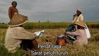 Download lagu Panen Raya   Hama Wereng - Iwan Fals mp3