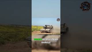 Hezbollah & Proxies: The Domino Effect of Regional Conflict