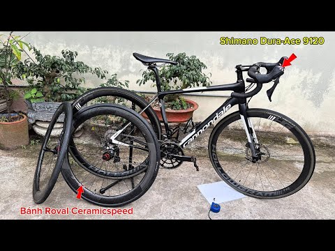 Cannondale Synapse Himod Racing Bicycle with Roval Carbon Ceramic Wheels, Genuine Imported from J...