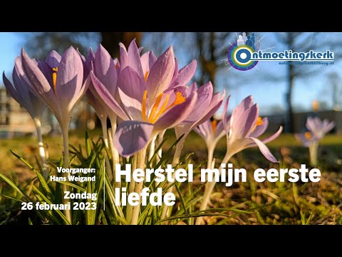 Zondag 26 februari 2023 10:00 uur | Herstel mijn eerste liefde | Hosea 11:8-9