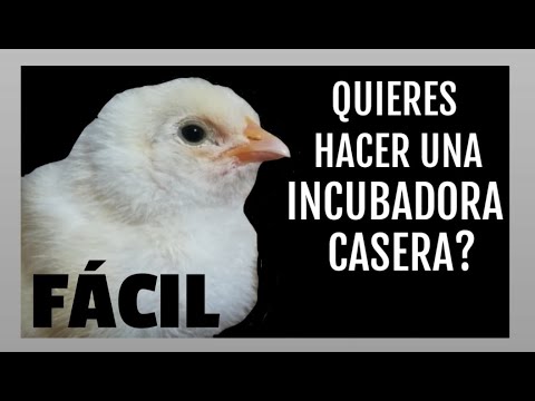 , title : 'Cómo hacer una incubadora fácil.'