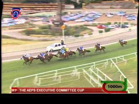 Shoddy Nick - R7 The Aeps Executive Committee Cup(1650m)