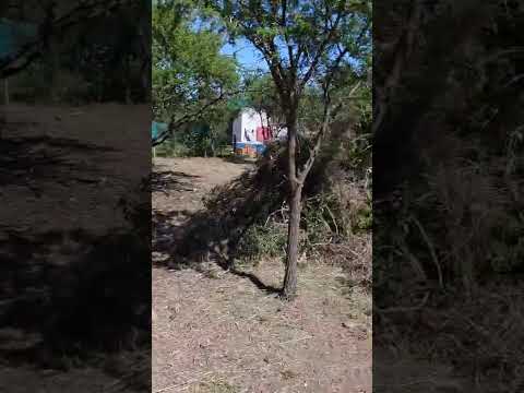 LOTE LOS MOLLES MERLO SAN LUIS 1.163 M2