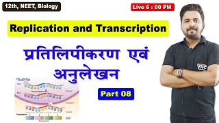 Part 08 Replication and Transcription 12th Biology