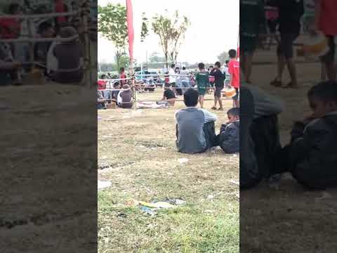 Lomba layang-layang di lapangan