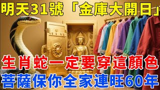 生肖蛇注意！明天10月31號農曆九月十一是「金庫大開日」，一定要記得穿這個顏色的衣服，菩薩保你全家連旺60年！【梵心若素】#生肖 #運勢 #風水 #財運 #命理