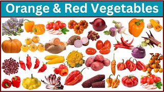 Colorful Vegetable | 100 Red & Orange Vegetable from Around the World
