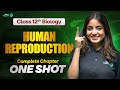 Human Reproduction Class 12 One Shot NCERT 12th Biology Complete Chapter 2 CBSE 2026