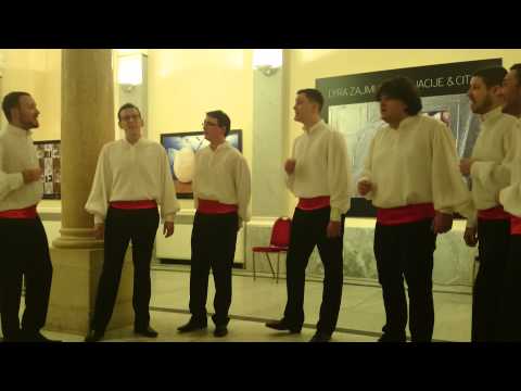 Klapa Bošket - Paun leti