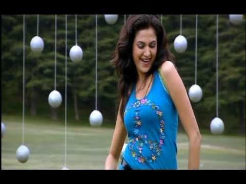 Saleem Master — watch video