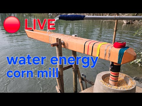 Water Powered Corn Grinding Machine | No Electricity | Traditional Village Technology Live