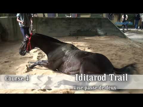 Floreal news 22nd meeting 2019