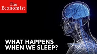 What happens when we sleep?