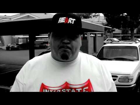 Interstate Fatz Exclusive Freestyle