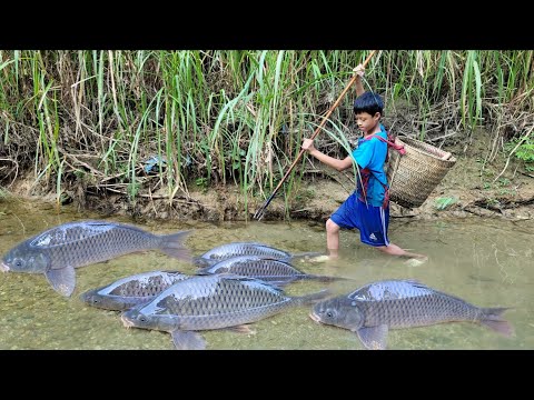 Fishing skills, boy Dat uses a spear to catch fish and turtles, hunting stream fish