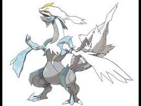 comment avoir kyurem pokemon noir