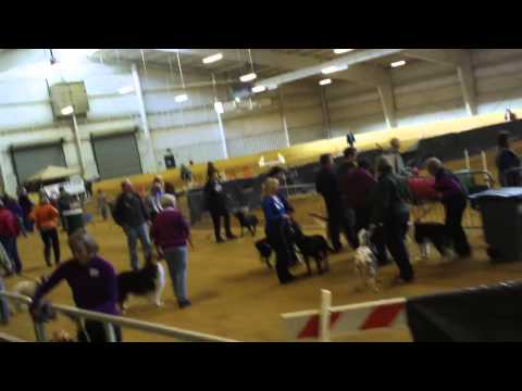 Dream Park - Tour  11/18/12