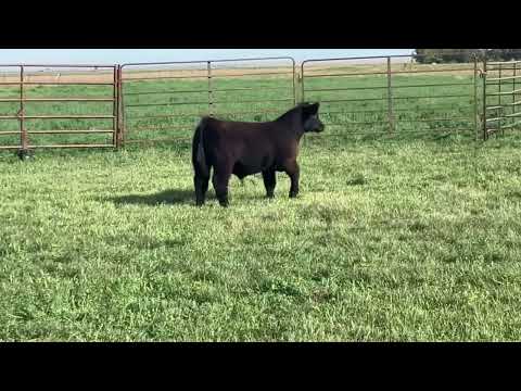 Tag 13 video