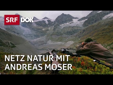 Die Schweiz und die Jagd | NETZ NATUR mit Andreas Moser | DOK | SRF Wissen