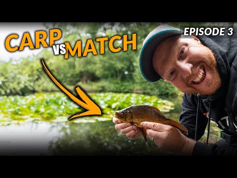 The ULTIMATE Fish Species Hunt! | Carp Anglers Vs Match Anglers #3